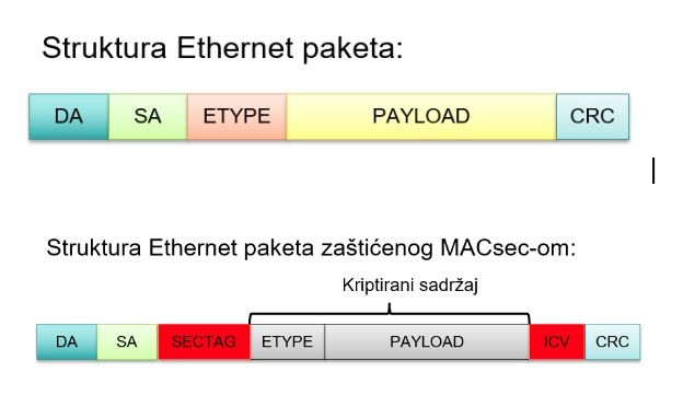  Struktura-Ethernet-projekta