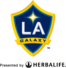 La galaxy logo